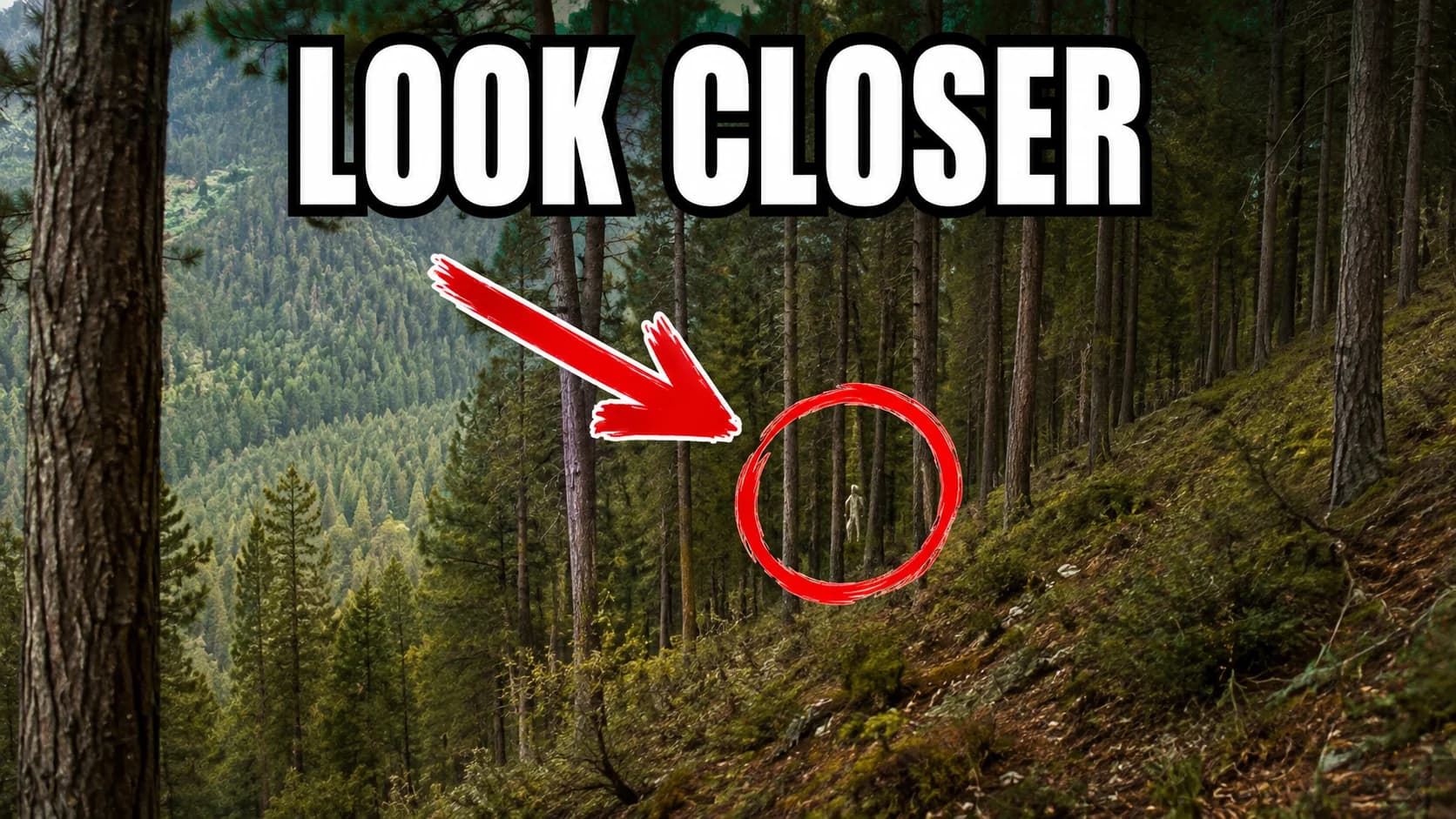 YouTube thumbnail example using the Arrow Highlight formula — deep forest scene with text LOOK CLOSER and a red arrow pointing to a circled figure in the trees